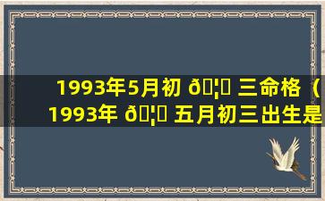 1993年5月初 🦈 三命格（1993年 🦊 五月初三出生是什么命）